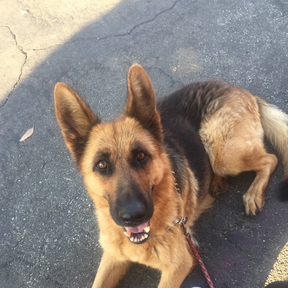 Meet your Posher, Serena